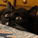 Barrettwr Barrett Reinhard Github - 8K Minimal Backgrounds for Desktop