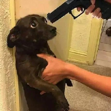 Github Theinderbrar Brar I Av Research - Premium Sunset Picture Gallery - 4K