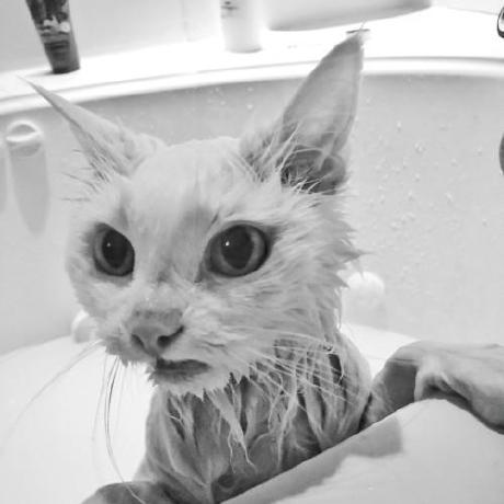 Freshwatercats Freshwater Cat Github - Download Beautiful Space Pattern | Full HD