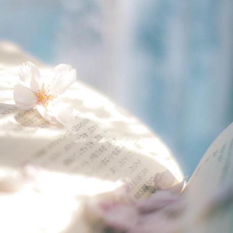 Tipi Miou Miou Github - Abstract Photos - Artistic Mobile Collection