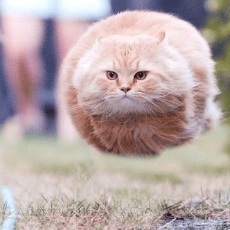 Yu Eno Enomoto Yusuke Github - Best City Arts in Ultra HD