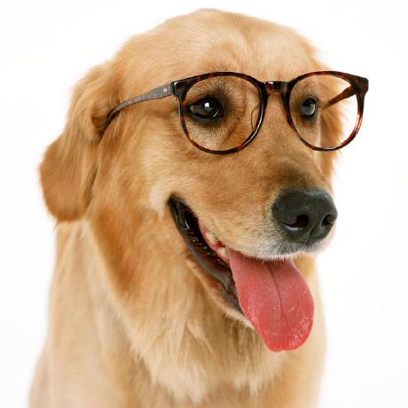 Xiaochen Source Li Zongchen Github - HD Sunset Illustrations for Desktop