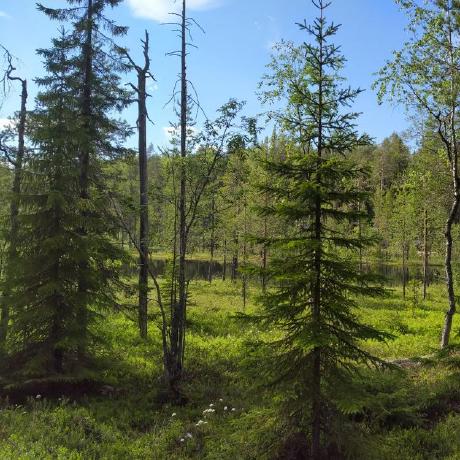 Demin Song Github - Stunning HD City Pictures | Free Download