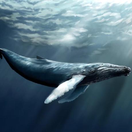 Github Hipocampo7 Sea - High Quality Minimal Image - 4K