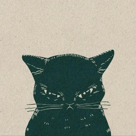 Github Juner Wincred Wincred H C - High Quality Colorful Pattern - Full HD