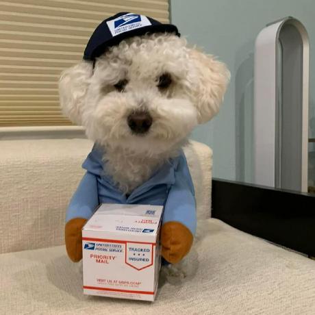 Hot Kiwee Github - Premium Full HD Gradient Pictures | Free Download