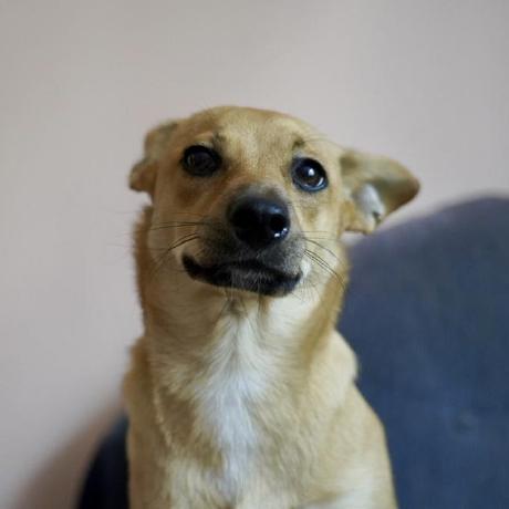 Werkatworzy Weronika Github - HD Ocean Images for Desktop