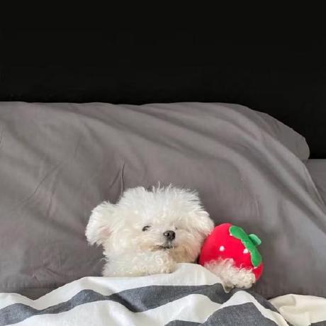 Github Tatjanaya Canny Canny - City Image Collection - Retina Quality