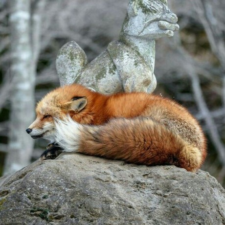 Raghad Khaled Raghad Khaled Github - Space Photo Collection - 4K Quality