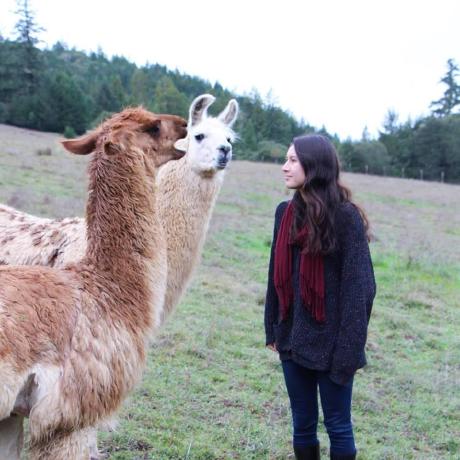 Brookedot Brooke Github - Premium Minimal Image Gallery - Mobile