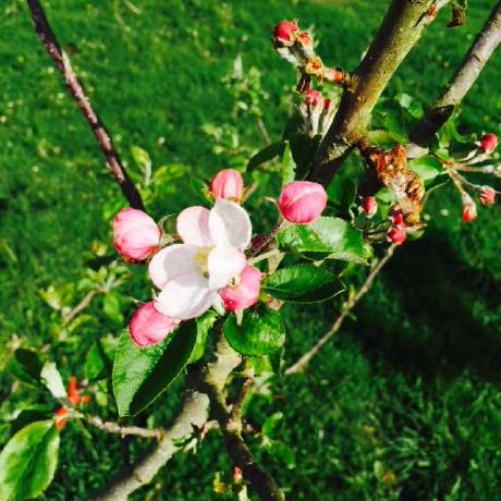 Github Leaf Harvest Eye Tracker Test Rig The Eye Tracker Test Rig Is - Best Vintage Wallpapers in Mobile