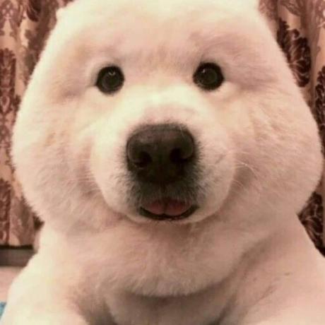 Minosss Mino Github - HD City Textures for Desktop