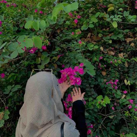 Yaheya Yaheya Quazi Github - Download Gorgeous Landscape Photo | 4K