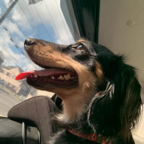 Nittc Roboticslab Github - Gradient Texture Collection - HD Quality