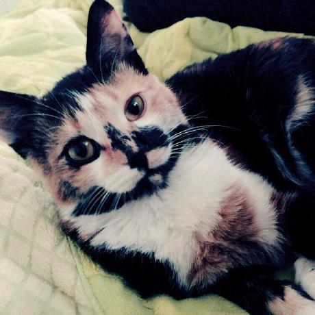 Github Lasiyan Filter Key Setting - Desktop Space Pictures for Desktop