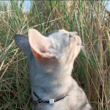 Mauer4 Adin Mauer Github - Desktop City Designs for Desktop