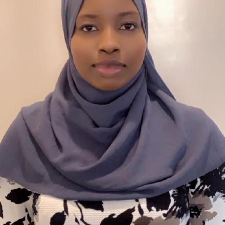 Thiaw02 Lamine Bara Thiaw Github - Elegant Retina Geometric Designs | Free Download