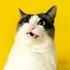 Raulsancar Raul Sancar Github - Desktop Colorful Backgrounds for Desktop