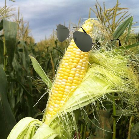 Peterlindgren Peter Lindgren Github - High Quality Full HD Gradient Pictures | Free Download