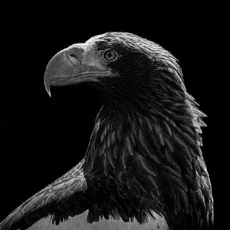 Otak Kanan Github - Ultra HD Nature Pictures for Desktop