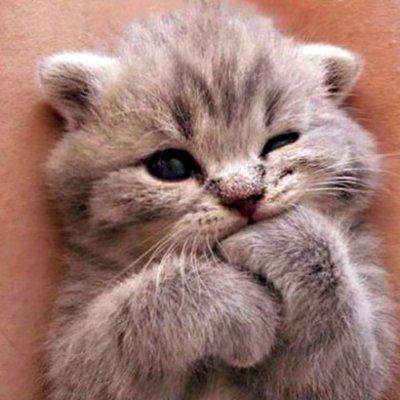 Github Jonnytest1 Minikeyboard Mini Keyboard Software - Light Patterns - Perfect 8K Collection