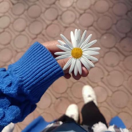 Github Mahdiahbabi Mahdiahbabi - Mobile Nature Textures for Desktop