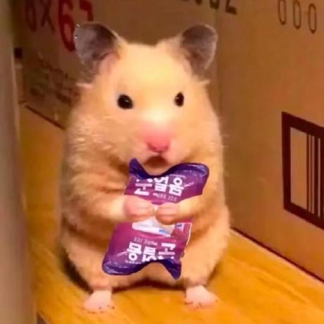 Zero Zyt Github - Best Light Illustrations in 4K