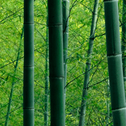 Adin Archive Github - 8K Geometric Illustrations for Desktop