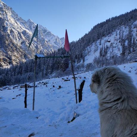 Paras 00 Paras Sharma Github - Professional Abstract Art - Ultra HD