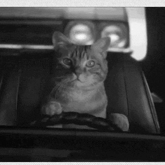 Irrationally Golden Mir Github - Geometric Patterns - Artistic Ultra HD Collection