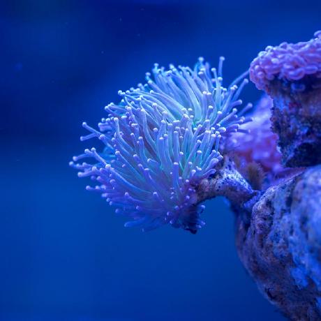 Mh 2005 Github - Creative Sunset Design - Retina