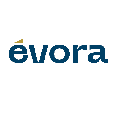 Evora Github - Minimal Illustration Collection - 8K Quality