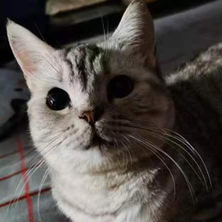 Xbin Xu Xbin Xu Github - Best Landscape Photos in 4K