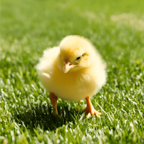 Cube Reito Hattori Github - Gorgeous Ultra HD Sunset Patterns | Free Download