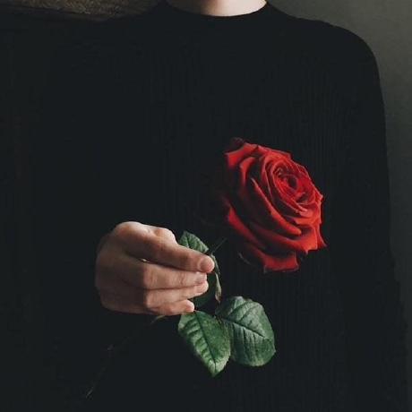 Kay Kay Kay Github - City Patterns - Beautiful 8K Collection