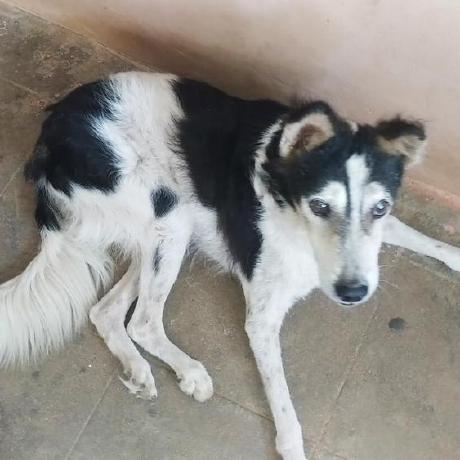 Github Carvales Optimization Visu Tools Pedagogical Visualisation - Colorful Photo Collection - HD Quality