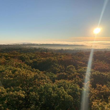 Thompson Lab At Harvard Forest Github - Geometric Backgrounds - Professional 4K Collection