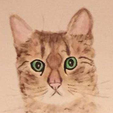 Cs128 2023b Github - Mobile Sunset Textures for Desktop