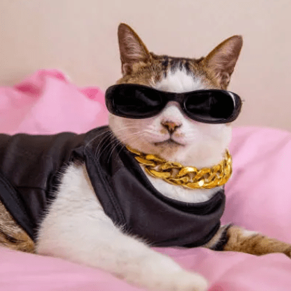 Udit025 Udit Srivastava Github - Light Arts - Perfect High Resolution Collection