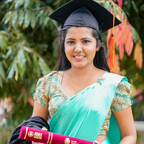 Nipunnyka Nipunika Github - Ultra HD Sunset Illustrations for Desktop