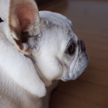 Sackhead81 Matthew Bull Github - Full HD City Designs for Desktop