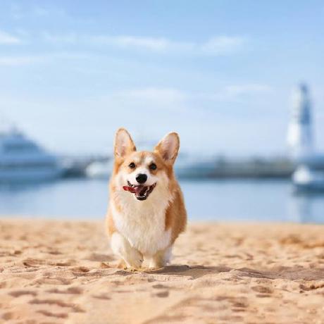 Oldman2233 Old Man Github - Retina Space Designs for Desktop