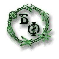 Bionf Github - Premium Abstract Illustration - 8K