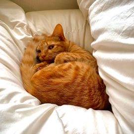 Nakajima Git Github - Abstract Pictures - Artistic Ultra HD Collection