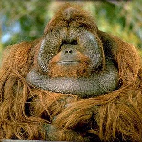 Paidgroff Danny Groff Github - Download Incredible Minimal Pattern | Retina