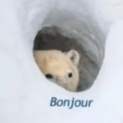 Toastedlynn Lynn Payne Github - Space Illustration Collection - 8K Quality