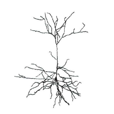 Miladsoft Milad Raeisi Github - Incredible 8K Geometric Textures | Free Download