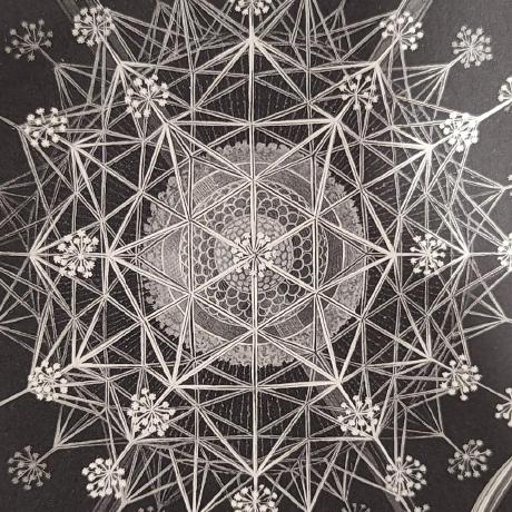 Github Narumii Niko Small Crash Client Base For Retarded German - Elegant Gradient Picture - Full HD