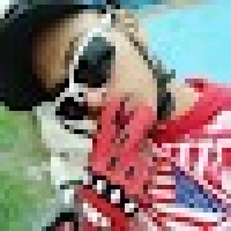 Diemale Github - Download Amazing City Picture | Mobile