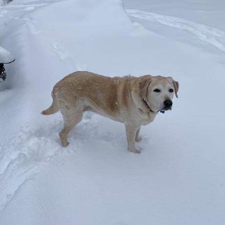 Wilbur Hu Github - Premium Light Pattern Gallery - Full HD